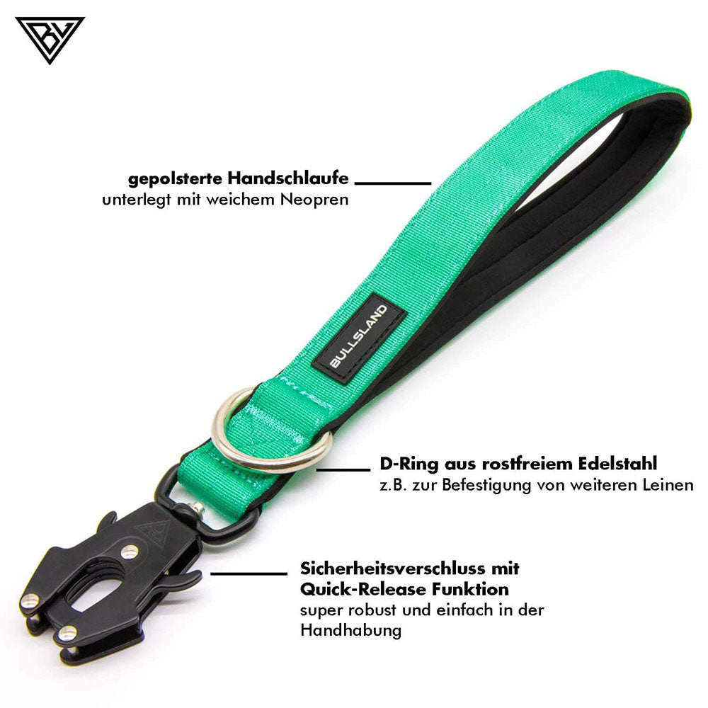 Kurzleine mit Sicherheitsverschluss in Mint Grün und deren Benefits