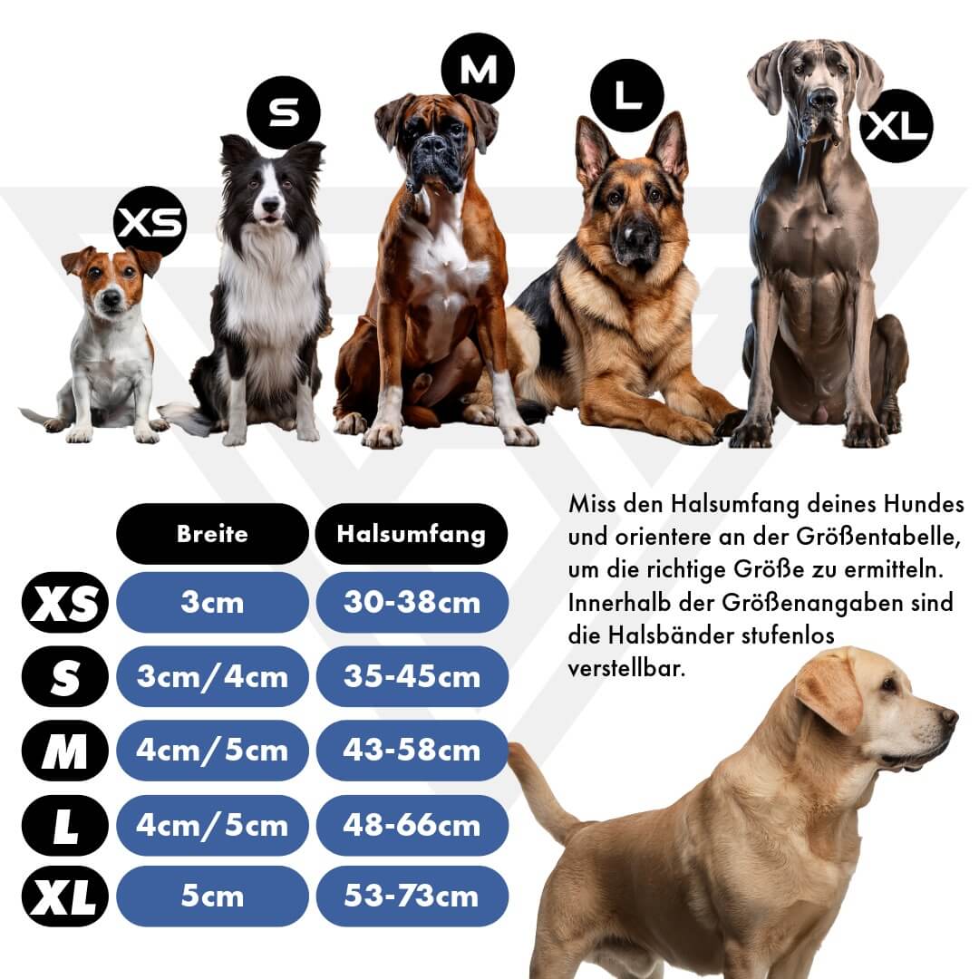 Taktisches Hundehalsband mit Griff - Schwarz