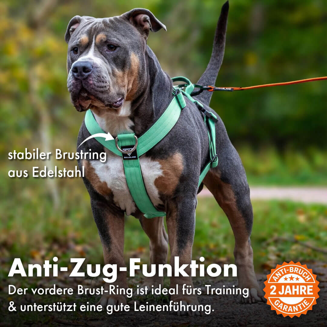 Taktisches Y-Geschirr "Pro" – mit Handgriff - Mint Green