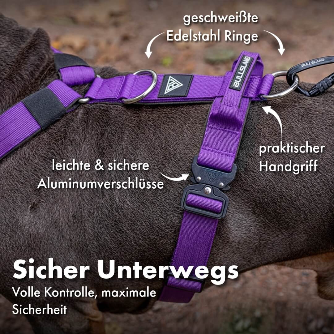 Taktisches Y-Geschirr "Pro" – mit Handgriff - Lila