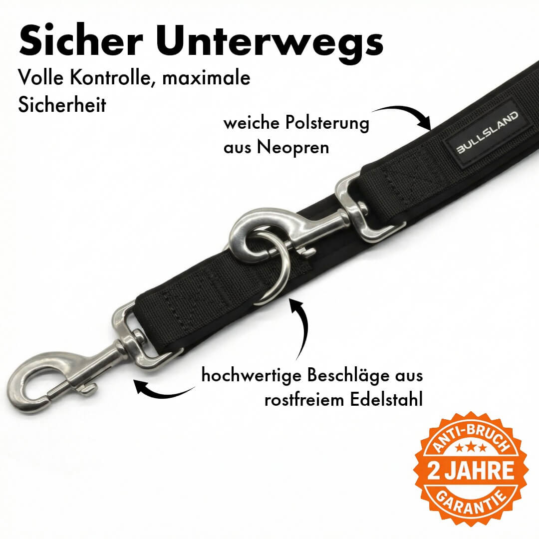 Hondenriem met roestvrijstalen karabijnhaak - 3-voudig verstelbaar - met neopreen vulling - Zwart