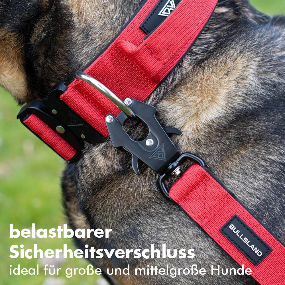 Rote Hundeleine mit belastbarem Sicherheitsverschluss an einem Hundehalsband.