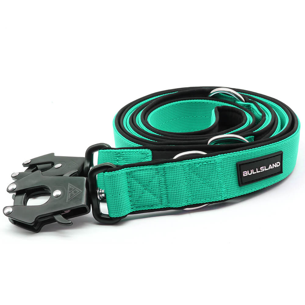 Tactische hondenriem – 3-voudig verstelbaar, robuust en veilig – Mintgroen