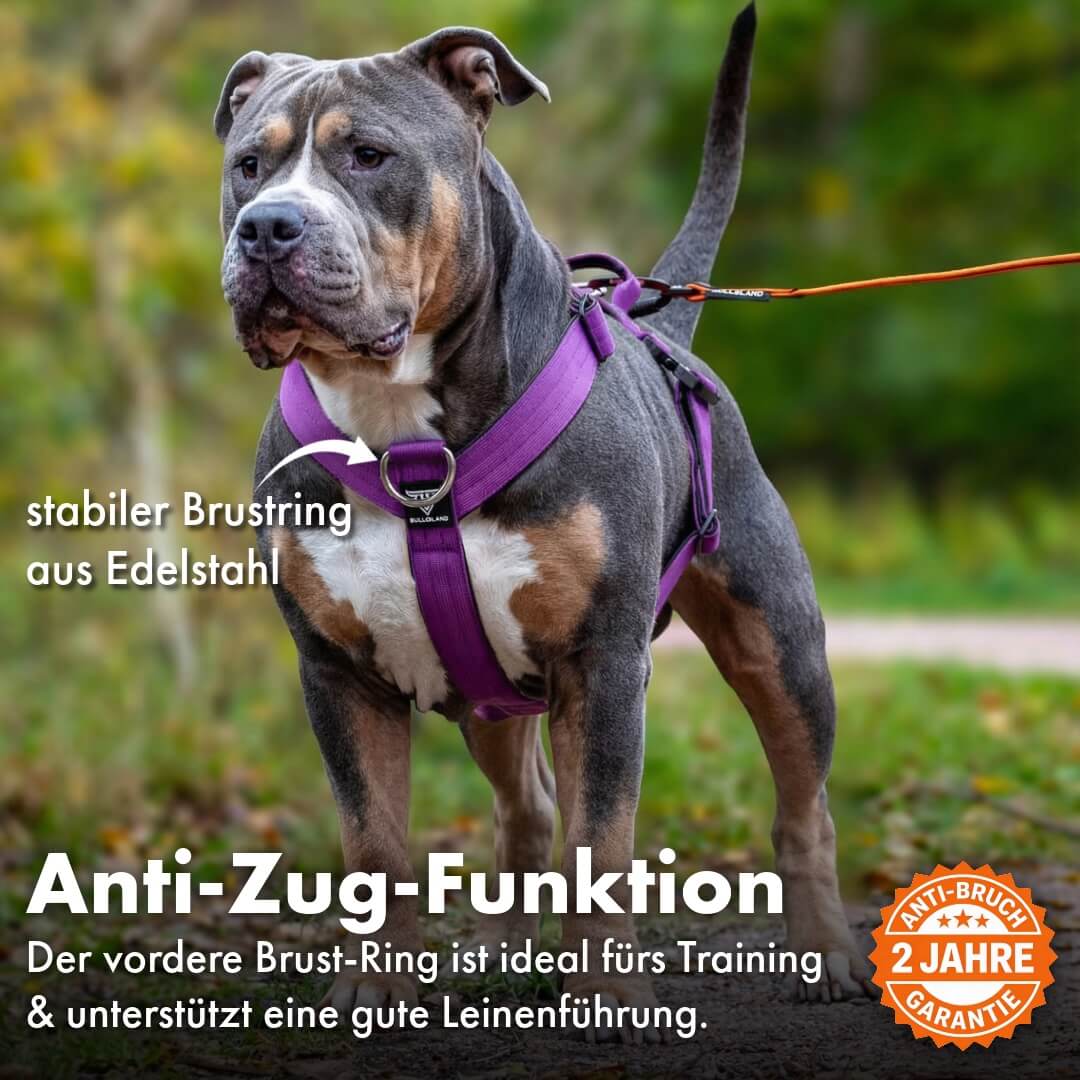 Taktisches Y-Geschirr "Pro" – mit Handgriff - Lila