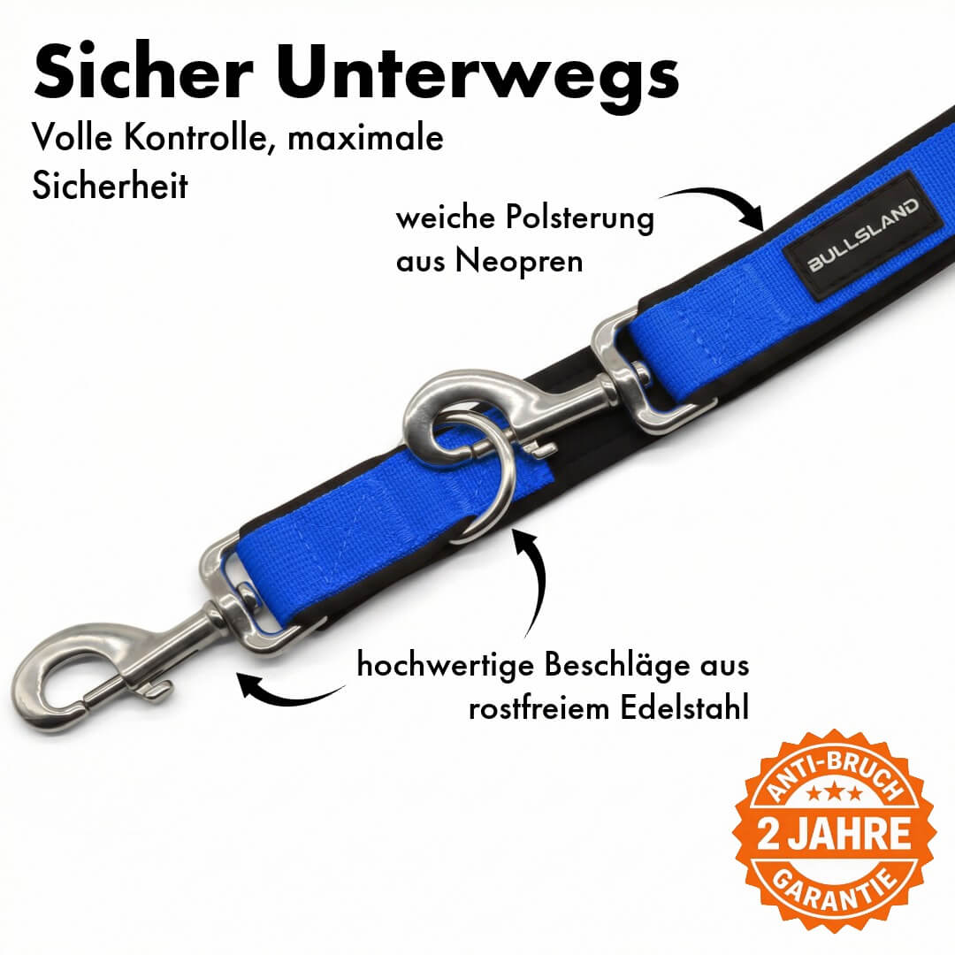 Hondenriem met roestvrijstalen karabijnhaak - 3-voudig verstelbaar - met neopreen vulling - Blauw