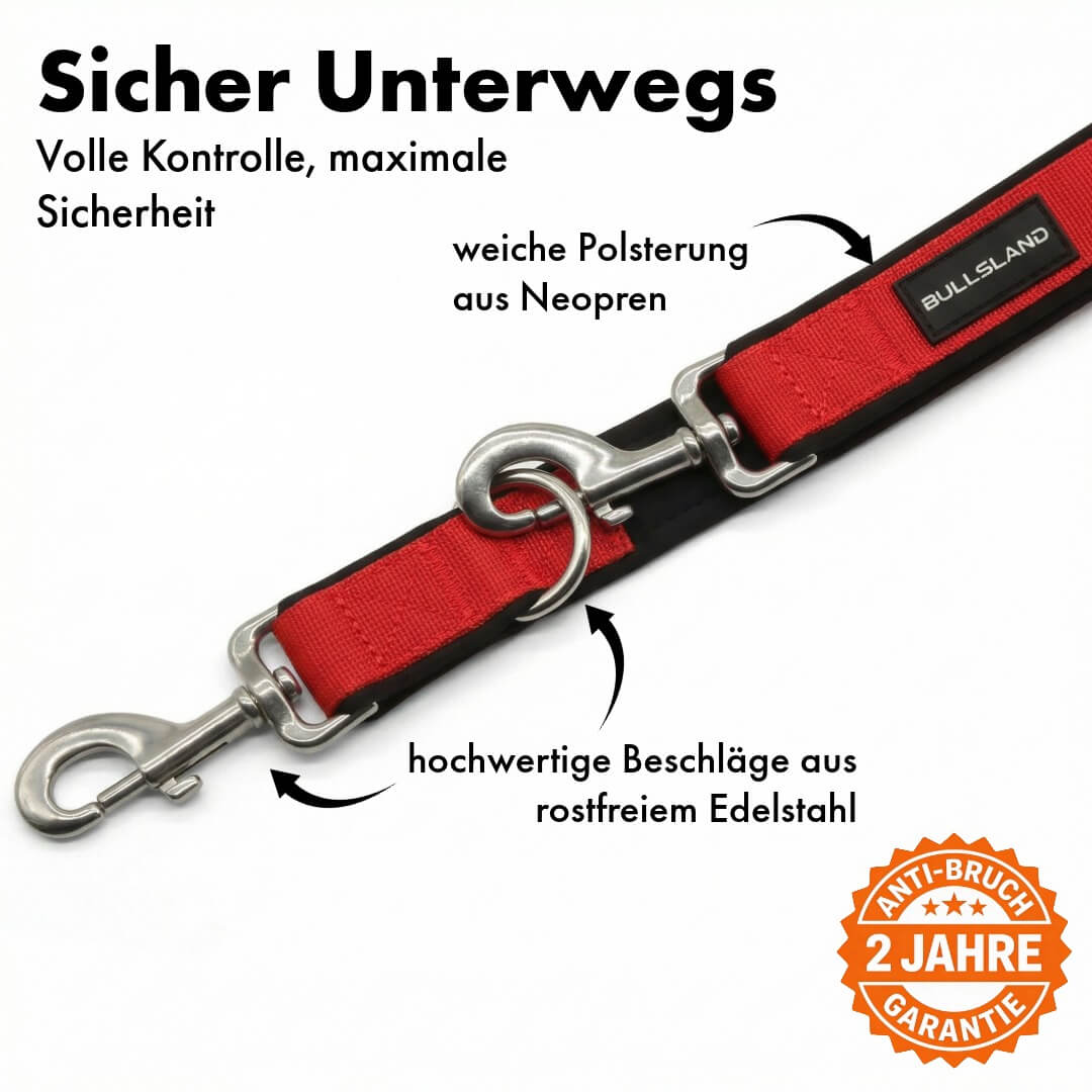 Hondenriem met roestvrijstalen karabijnhaak - 3-voudig verstelbaar - met neopreen vulling - Rood