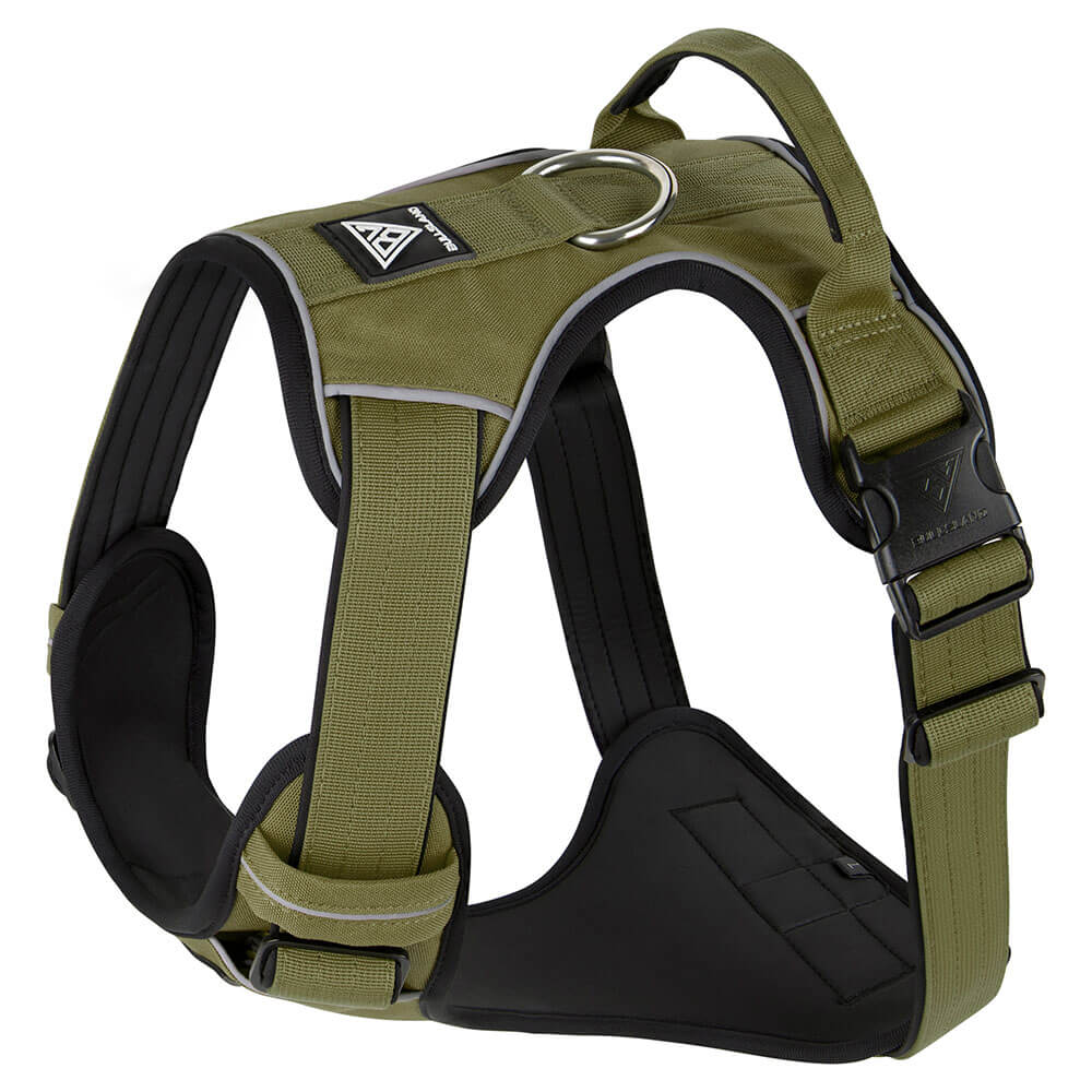 Premium Hundegeschirr in Khaki mit reflektierenden Nähten und Aluminium-Verschlüssen.