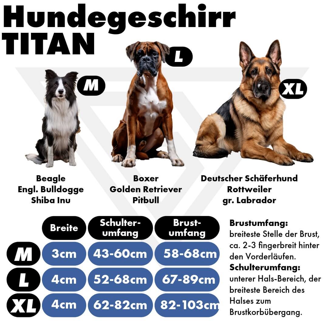 Gevoerd hondentuigje "Titan" - met veiligheidsgespen, handvat en neopreen vulling - Oranje