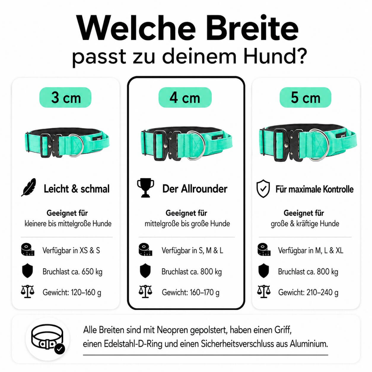 Taktisches Hundehalsband mit Griff - Mint Green