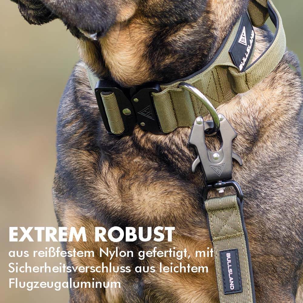 Taktische Hundeleine mit Sicherheitsverschluss, angebracht an einem taktischen Hundehalsband in Khaki.