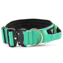 Taktisches Hundehalsband mit Griff von Bullsland Dogwear in Mint Gruen.