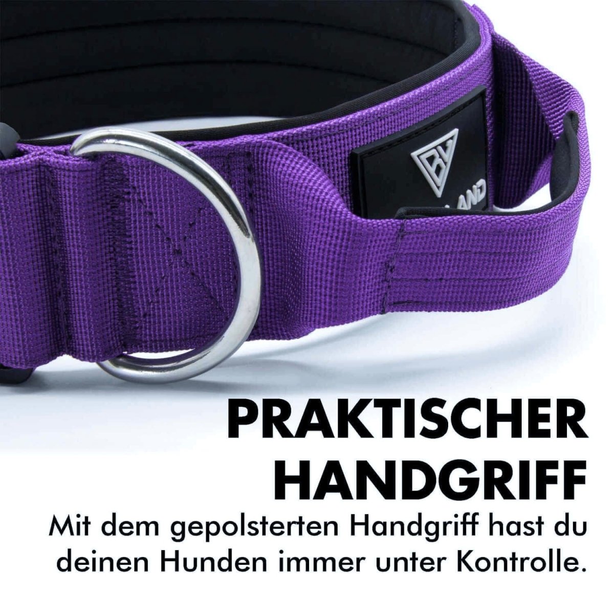 taktisches hundehalsband mit handgriff in lila